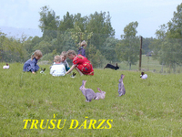 ZAKISI